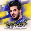 Mohsen Dovlat - Tabibaneh - Single